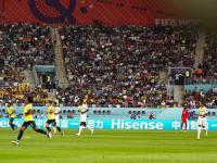 三亿体育体育电竞-塞内加尔奋斗获胜，国际赛实力有目共睹的简单介绍