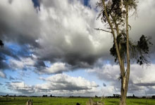 三亿体育体育地址-对手表现出色，球队备战紧迫考验的简单介绍