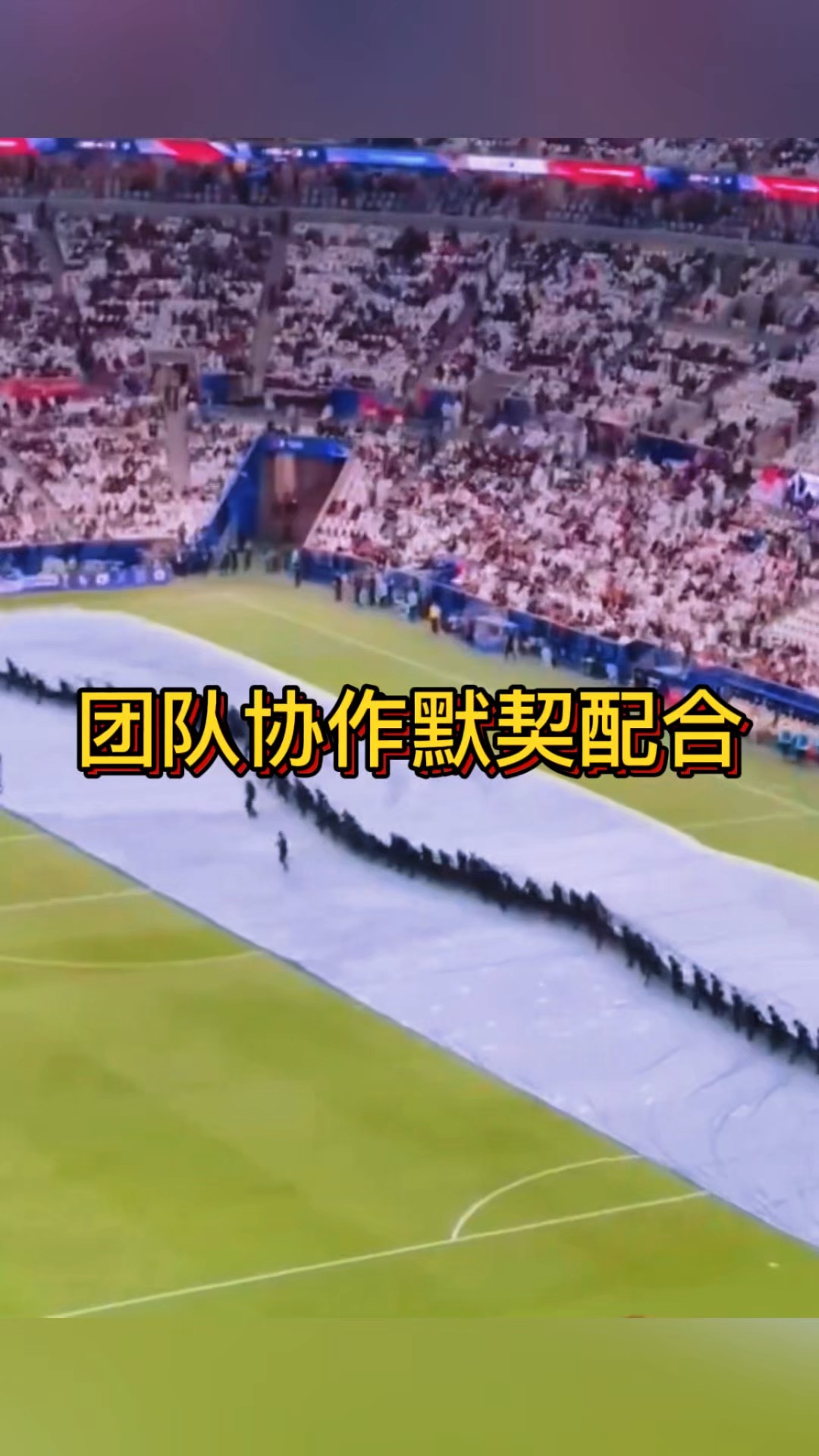 队员集体协作,才华横溢赢得头筹 队员集体协作,才华横溢赢得头筹