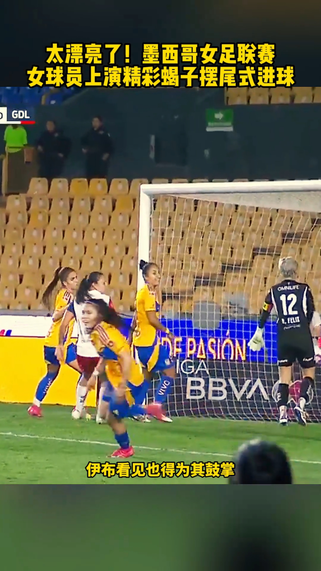 墨西哥击败希腊,晋级排球四强,表现强劲 墨西哥击败希腊,晋级排球四强,表现强劲